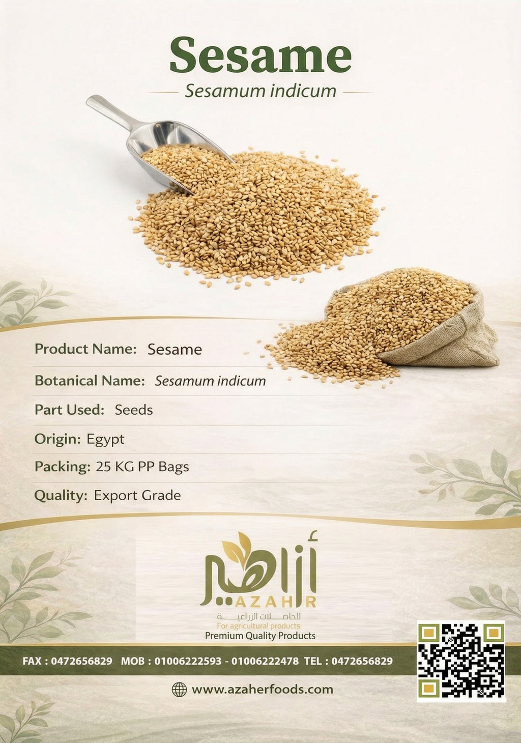 Sesame