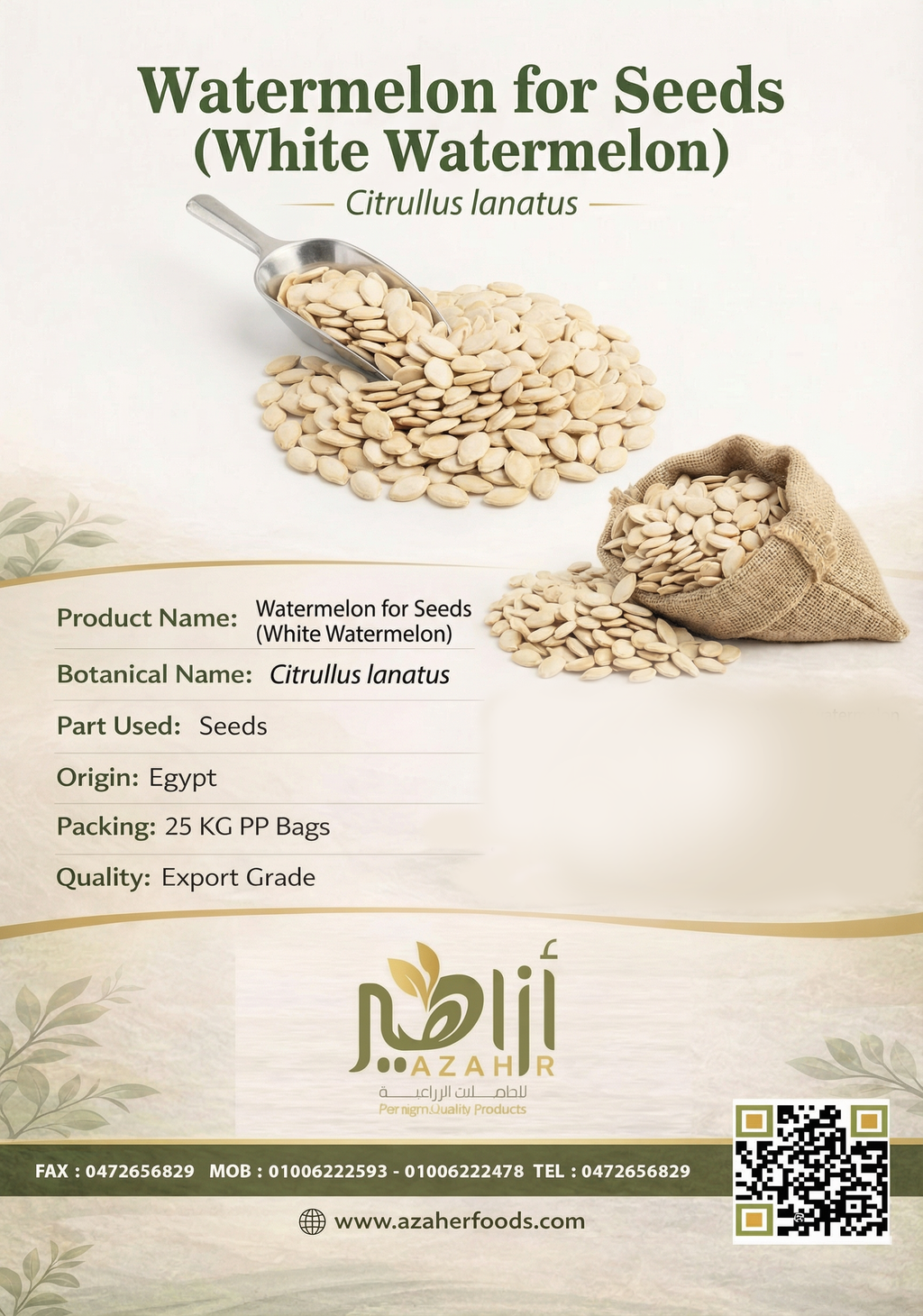 Premium Beans – Nutritious, Natural