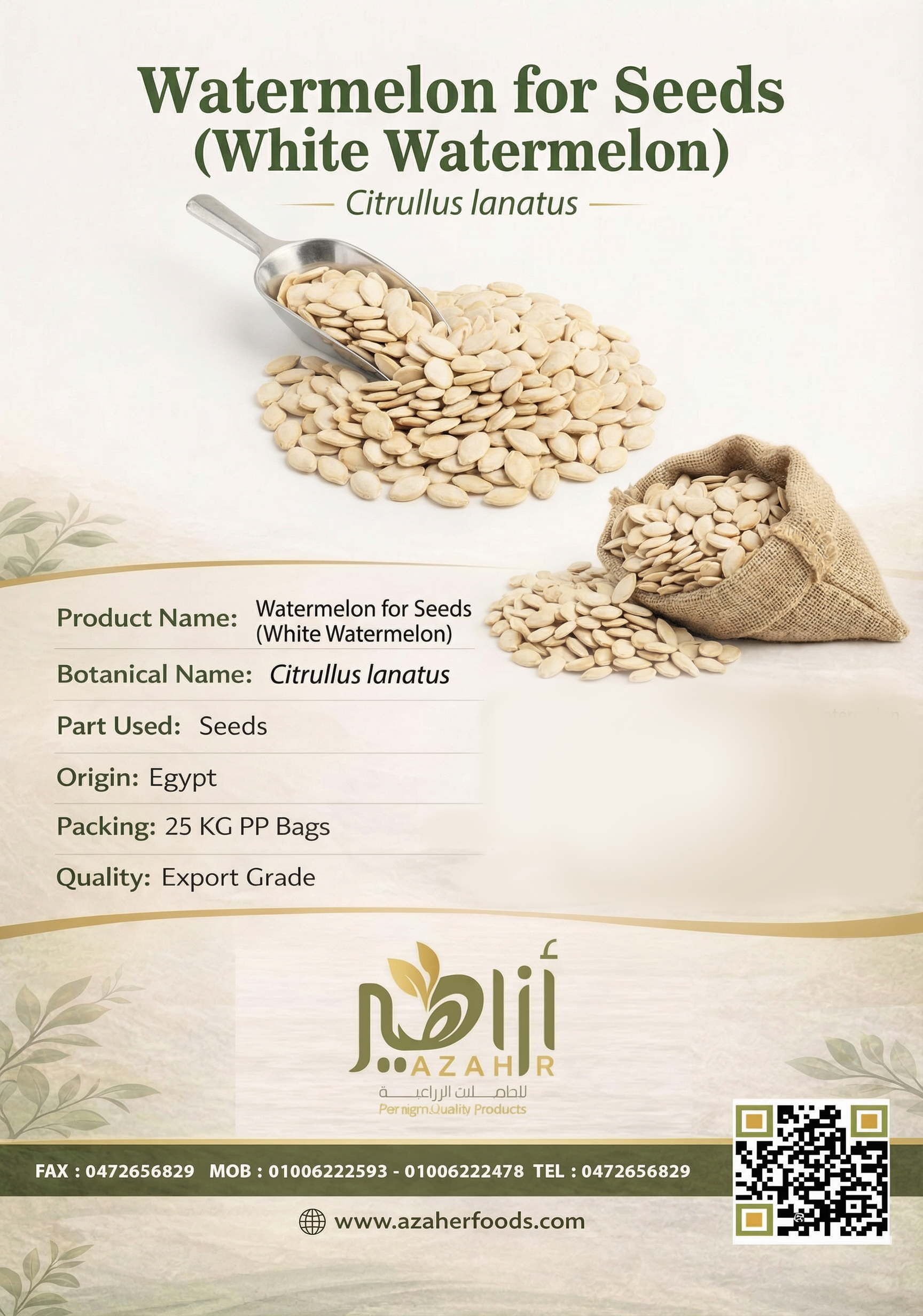 Premium Beans – Nutritious, Natural