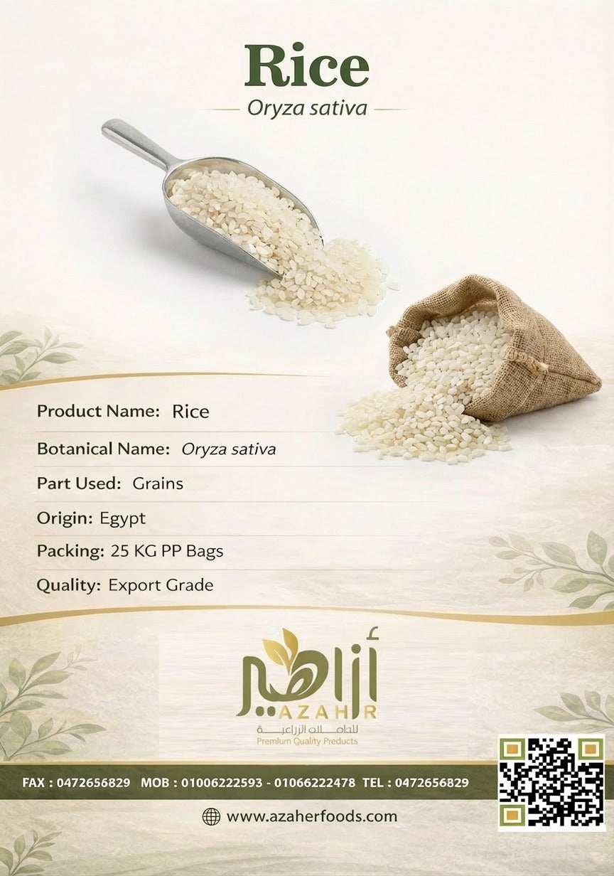 Rice