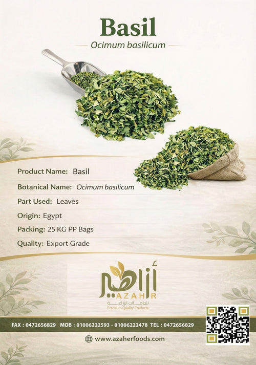 Basil