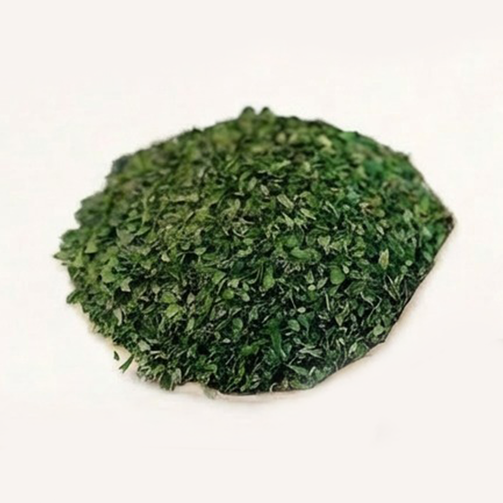 Moringa
