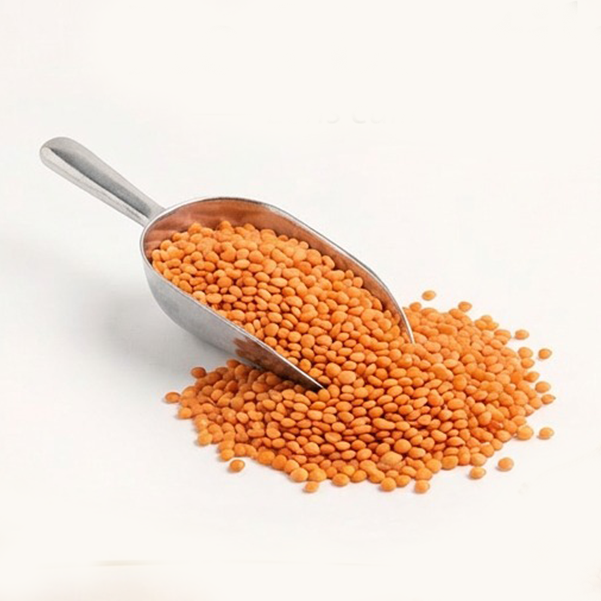 Red Lentils