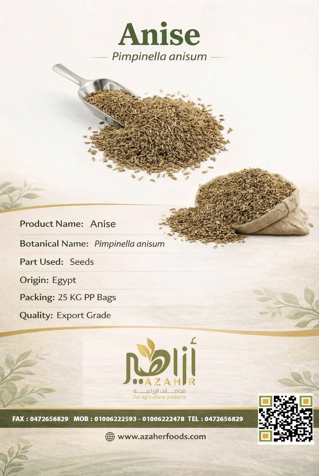 Anise
