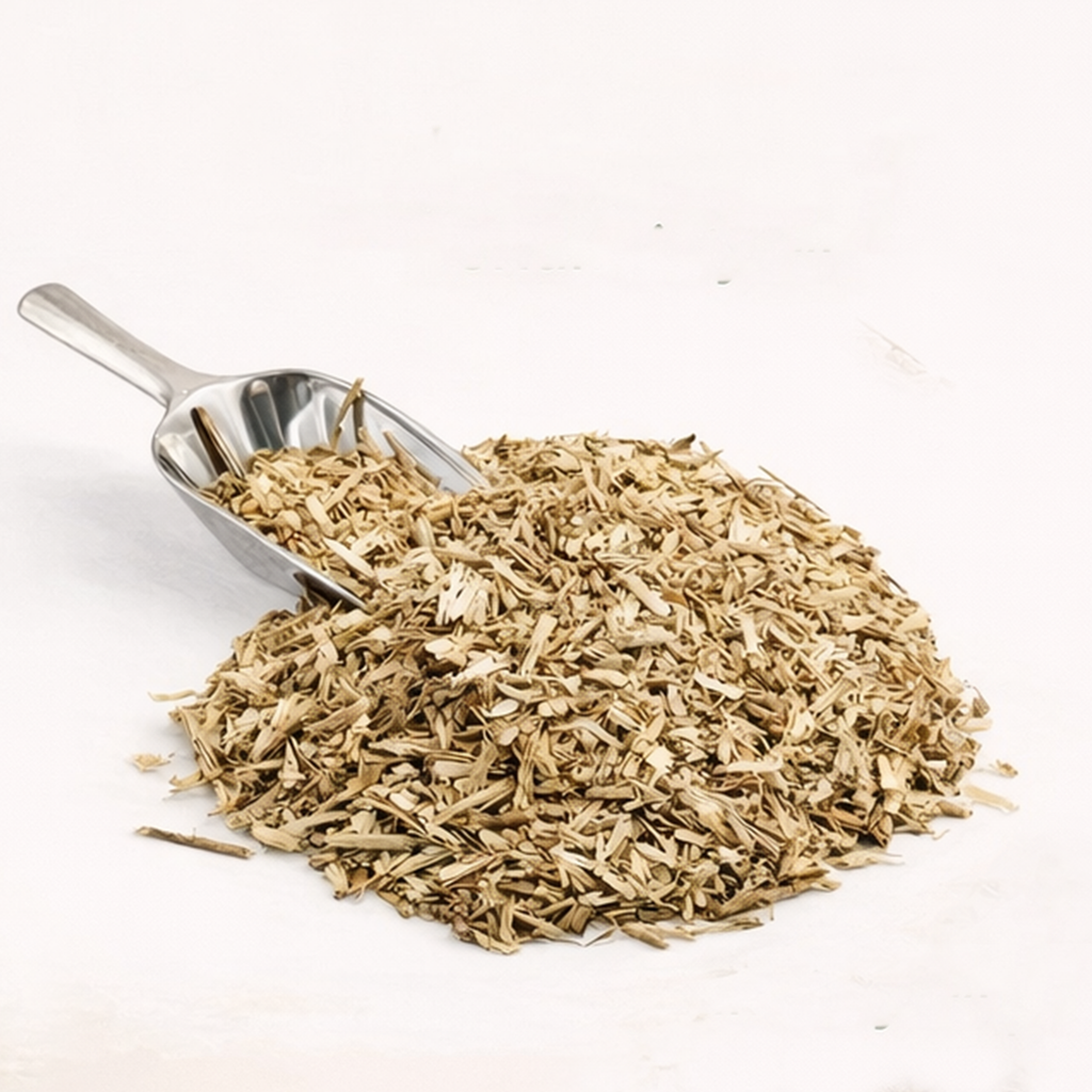 Chicory