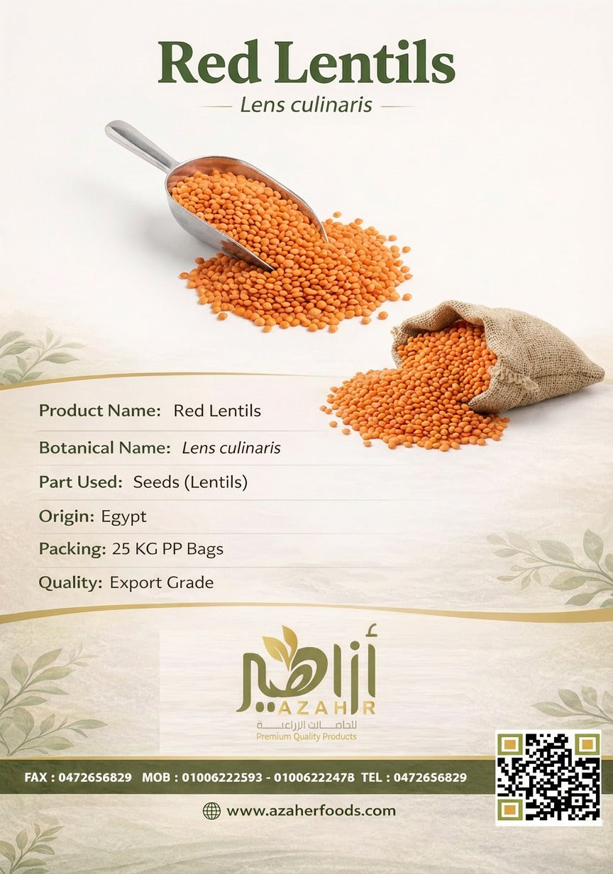 Red Lentils